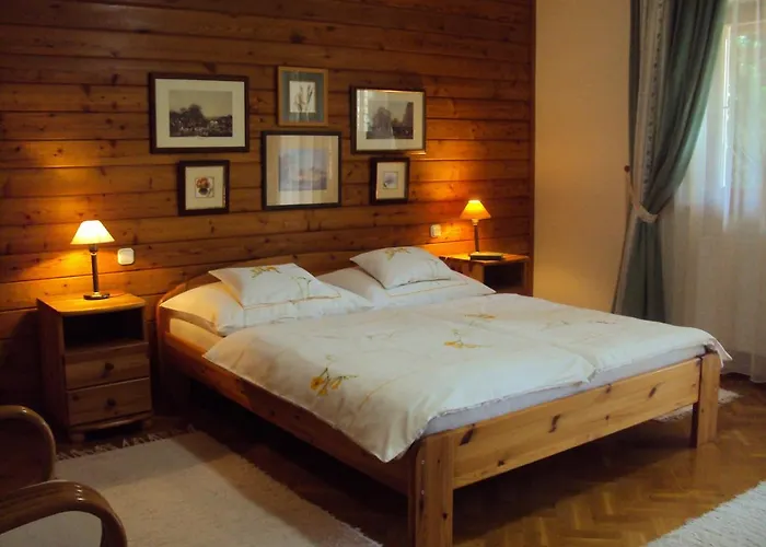 Toelgyes * Hajdúszoboszló